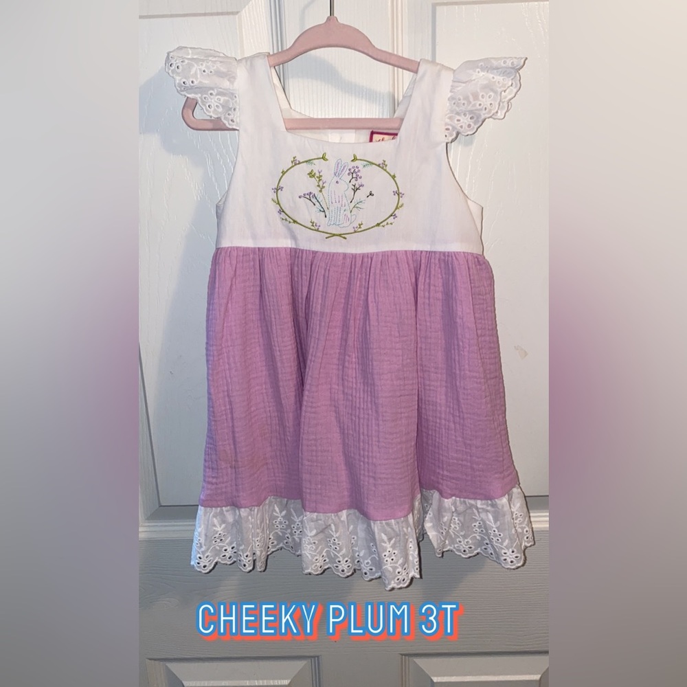 NWOT Cheeky Plum dress sz. 3t